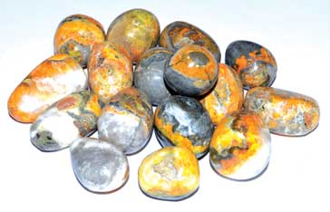 1 lb Jasper, Bumble Bee tumbled stones