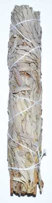 9" White Sage smudge stick - Click Image to Close